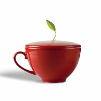 Cos cadou - Beauty in Red