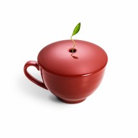 Cos cadou - Beauty in Red