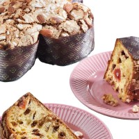 Colomba Fillipi cu capsuni salbatice si ciocolata cu lapte 750g